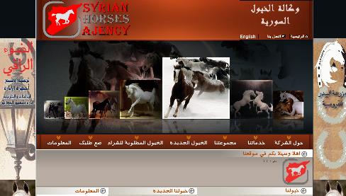 وكالة الخيول السورية